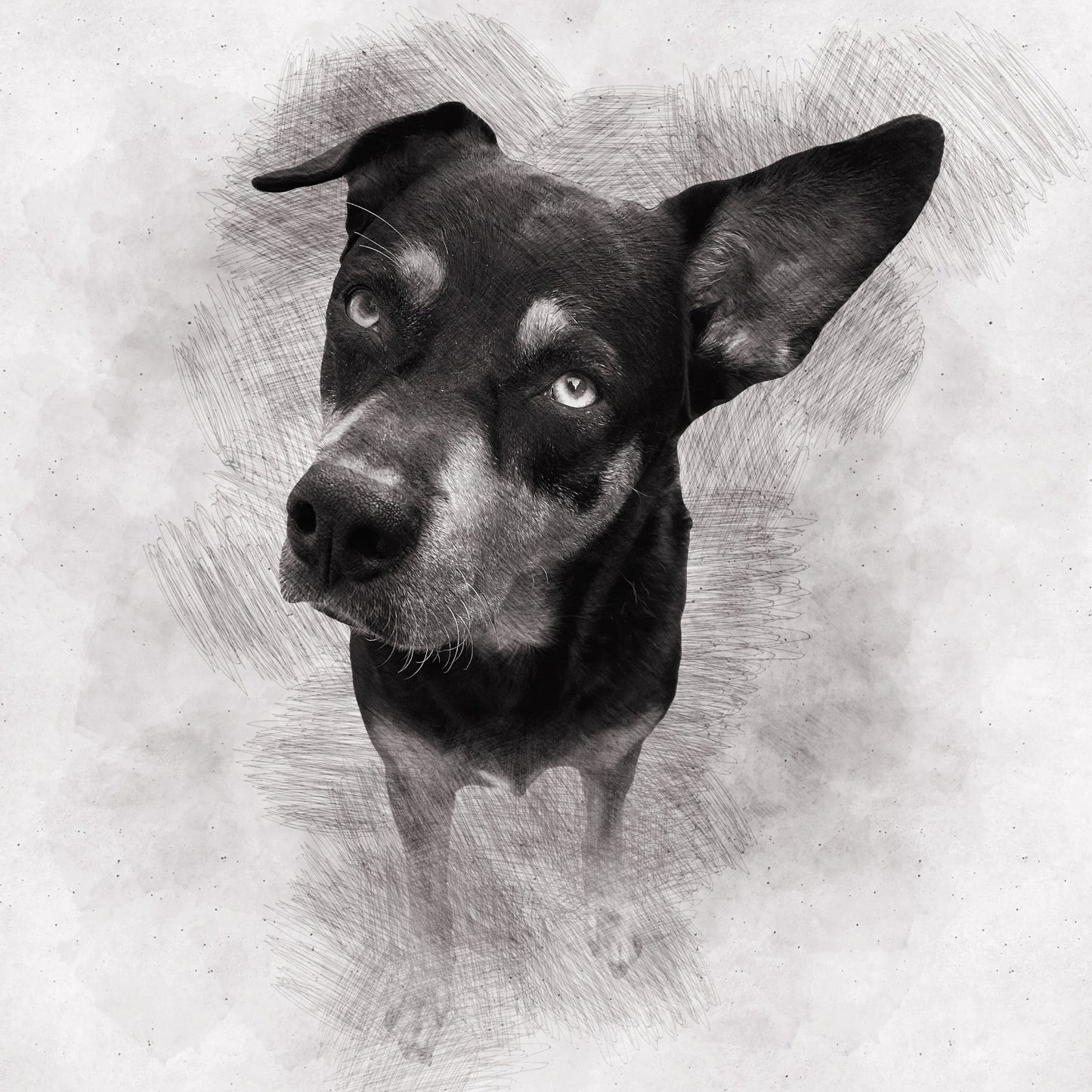 Custom Pencil Sketch Pet Portrait from Photo